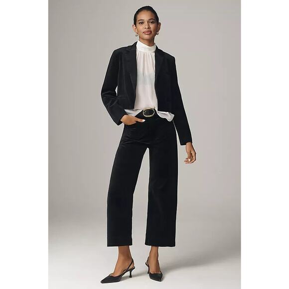 NWT Anthropologie The Colette Cropped Wide-Leg Velvet Pants Sz 38 Carbon #7A506 - Picture 1 of 11